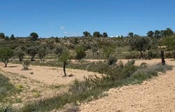 Rbla. Arbolitos, Aragon, Aragon 50793