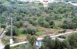 Benaojan, Andalusia 29370