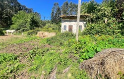 Al Lago, Castrillón, Asturias 33456