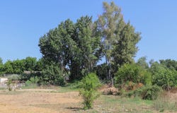 Coín, Andalusia 29100
