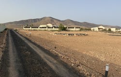 Antigua, Canary Islands 35639