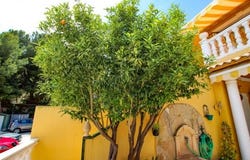 Calpe, Alicante/alacant 03710