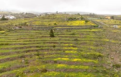 Adeje, Canary Islands