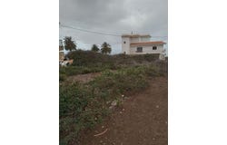 Tacoronte, Canary Islands