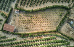 Alcala del Rio, Andalusia 41200