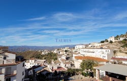 Canillas de Aceituno, Andalusia 29712