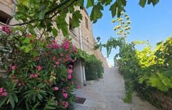 Lleida, Catalonia 25214