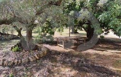 Roquetes, Catalonia 43520