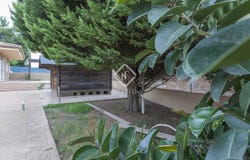 paterna, Valencian Community 46182