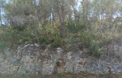 Olivella, Catalonia
