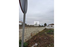 Rana Verde, Chiclana de la Frontera, Andalusia 11130