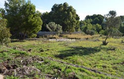 Denia, Valencian Community 03700
