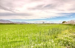 Alicante, Valencian Community 03349