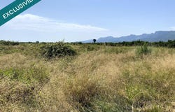 Riola, Valencian Community 46417