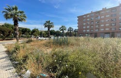 Carlet, Valencian Community 46240