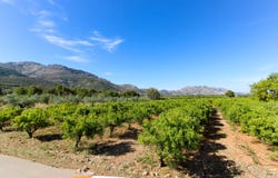 Orba, Valencia 03790
