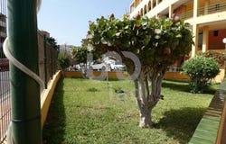 Santa Cruz de Tenerife, Canary Islands 38630