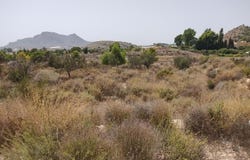 Agost, Valencian Community