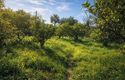 Benimeli, Valencian Community 03769