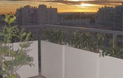 Elche/Elx, Costa Blanca (alicante)