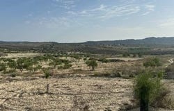 Torremendo, Orihuela, Costa Blanca (alicante)