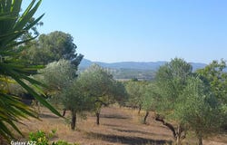 Ginestar, Catalonia 43748