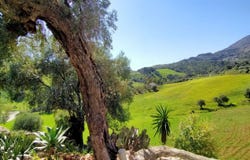Casarabonela, Andalusia 29566