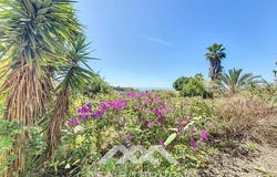 Cajiz, Andalusia 29792