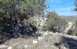 Alcalalí, Alicante 03728