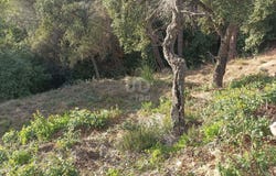 Barcelona, Catalonia 08396