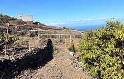 Gmar, Canary Islands