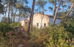 Amposta, Catalonia 43870