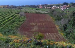 Tacoronte, Canary Islands
