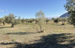 Padules, Andalusia 04458