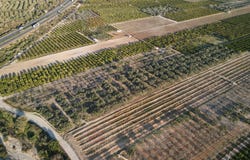 Vinaros, Valencian Community 12500