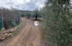 Fuente Tojar, Andalusia 14815