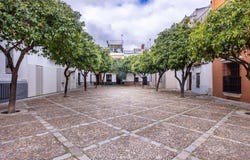 Sevilla, Andalusia 41003