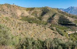 Torrox, Andalusia 29770
