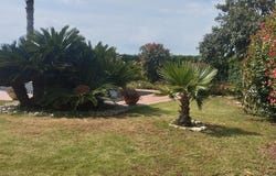 Vinaros, Valencian Community 12500