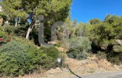 Tarragona, Catalonia 43882