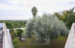 Vinaros, Valencian Community 12500