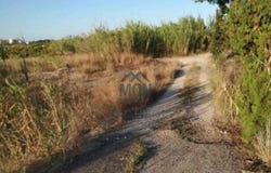 Gandía, Valencian Community 46730
