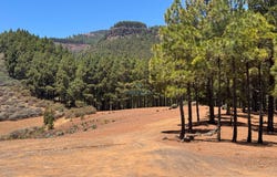 Valsequillo de Gran Canaria, Canary Islands 35216