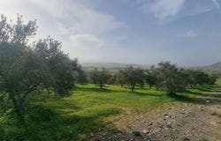 Alhaurin El Grande, Malaga 29120