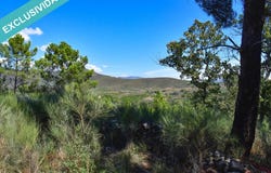 Acebo, Extremadura 10857