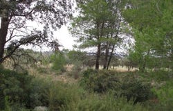 Macastre, Valencian Community