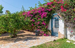 El Campello, Valencia 03560