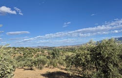 Coín, Andalusia 29100