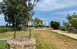 Amposta, Catalonia 43870