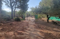 Portimão, Catalonia 43860